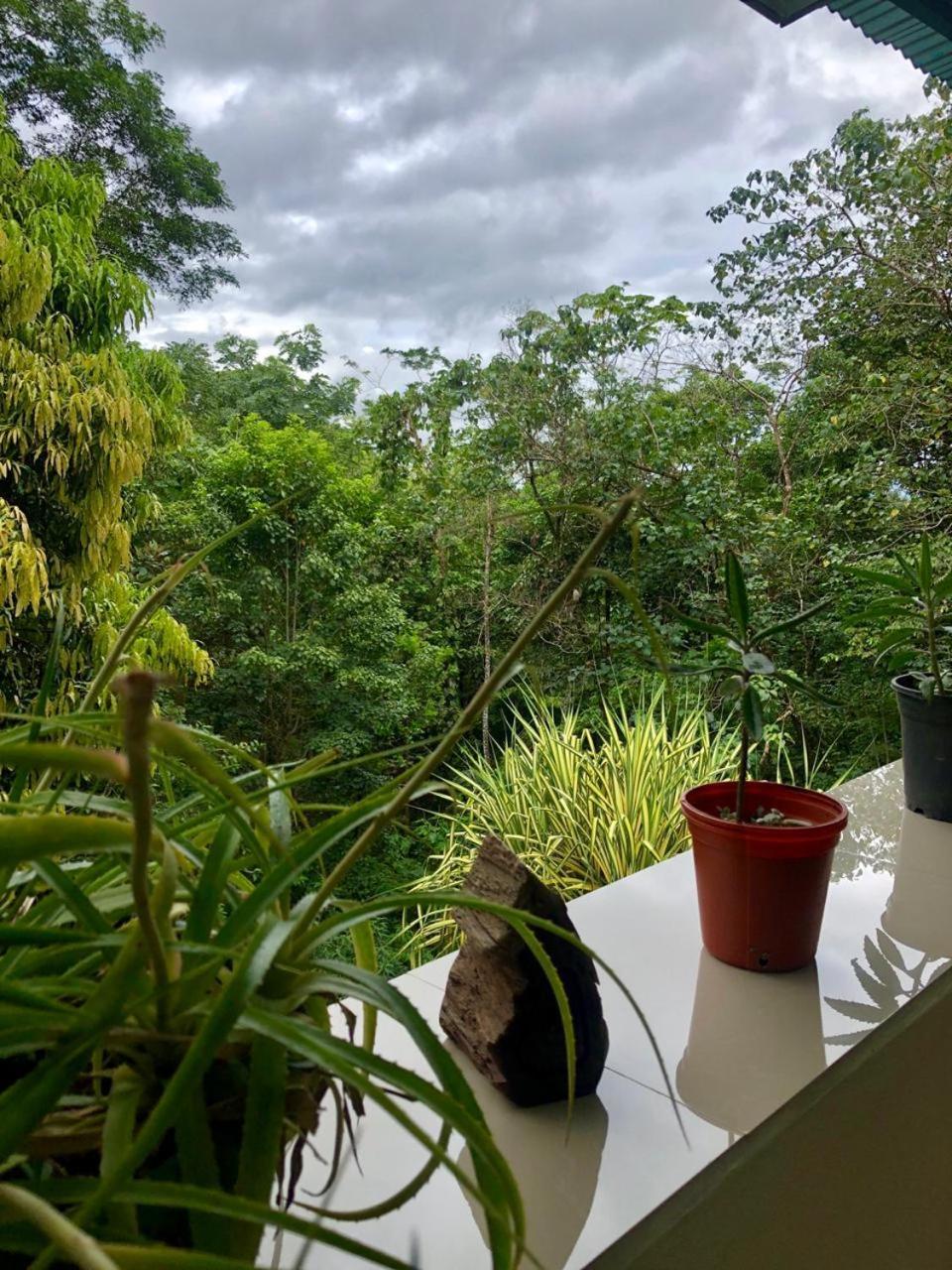 San Rafael Ecolodge La Tigra  Ngoại thất bức ảnh